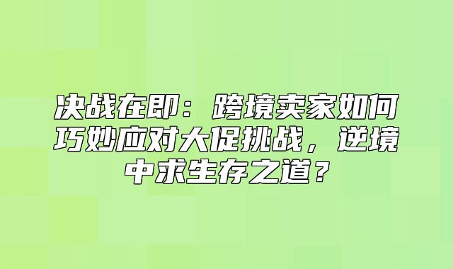 决战在即：跨境卖家如何巧妙应对大促挑战，逆境中求生存之道？