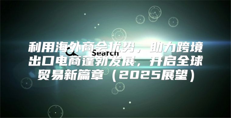 利用海外商会优势，助力跨境出口电商蓬勃发展，开启全球贸易新篇章2025展望