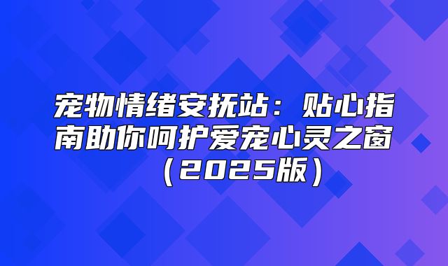 宠物情绪安抚站：贴心指南助你呵护爱宠心灵之窗2025版