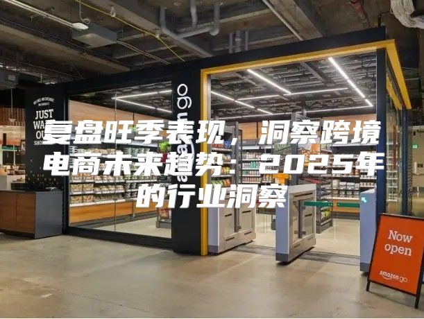复盘旺季表现，洞察跨境电商未来趋势：2025年的行业洞察