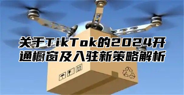 关于TikTok的2025开通橱窗及入驻新策略解析