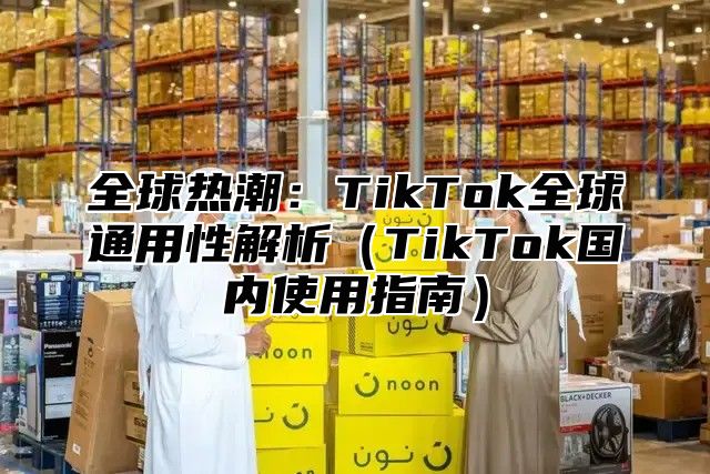 全球热潮：TikTok全球通用性解析TikTok国内使用指南