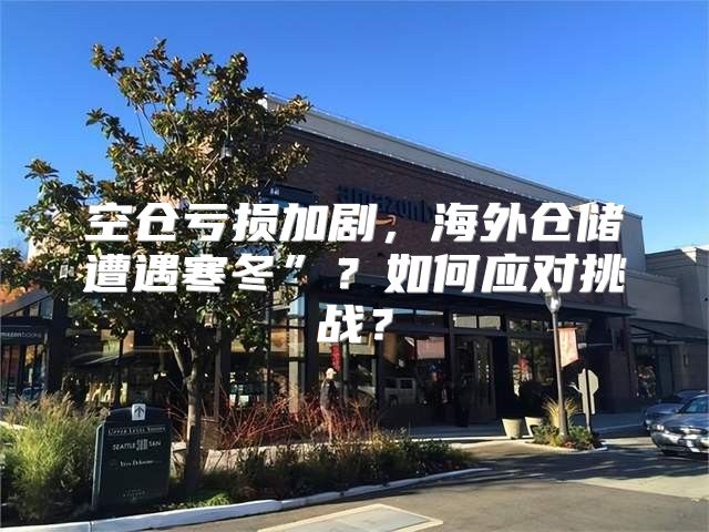 空仓亏损加剧，海外仓储遭遇寒冬”？如何应对挑战？