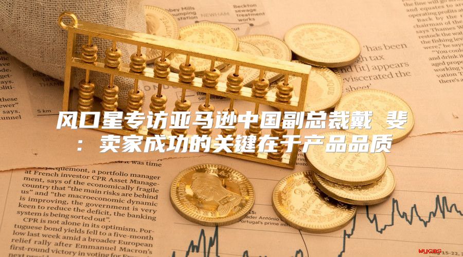 风口星专访亚马逊中国副总裁戴竫斐：卖家成功的关键在于产品品质