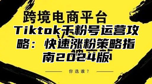 Tiktok千粉号运营攻略：快速涨粉策略指南2025版