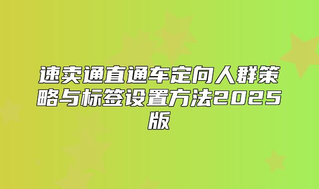 速卖通直通车定向人群策略与标签设置方法2025版