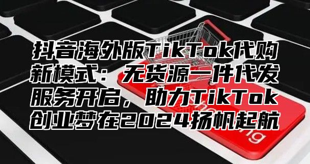 抖音海外版TikTok代购新模式：无货源一件代发服务开启，助力TikTok创业梦在2025扬帆起航