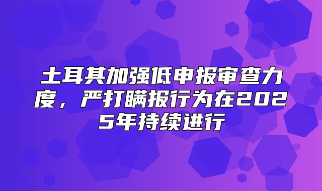 土耳其加强低申报审查力度，严打瞒报行为在2025年持续进行