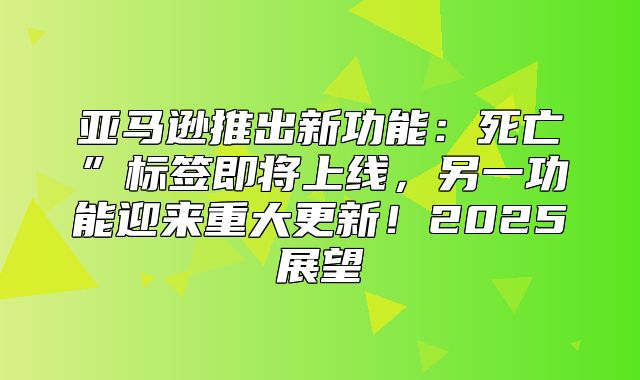 亚马逊推出新功能：死亡”标签即将上线，另一功能迎来重大更新！2025展望