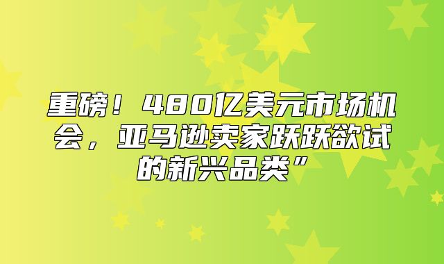 重磅！480亿美元市场机会，亚马逊卖家跃跃欲试的新兴品类”