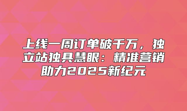 上线一周订单破千万，独立站独具慧眼：精准营销助力2025新纪元