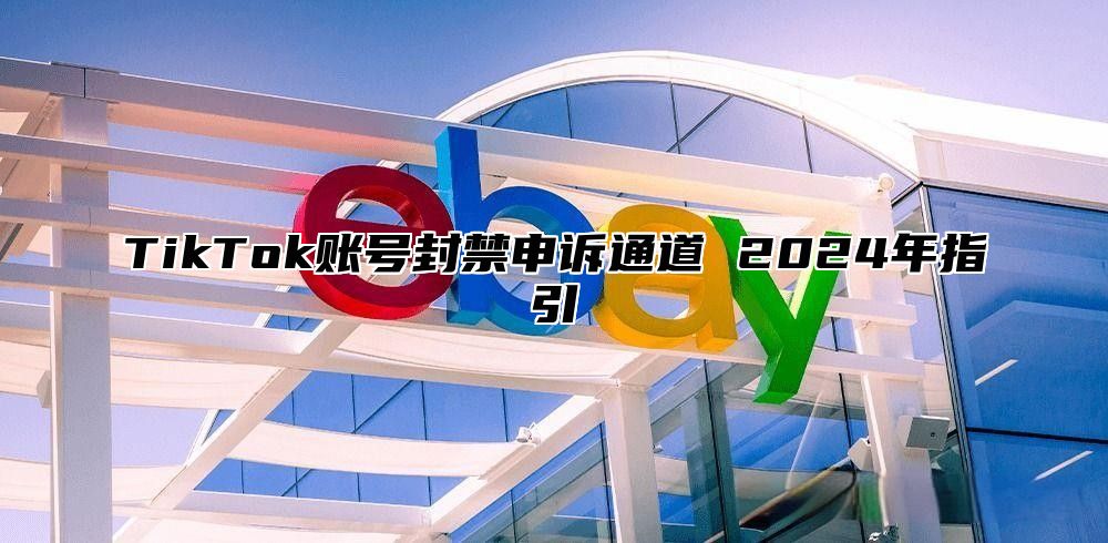 TikTok账号封禁申诉通道 2025年指引