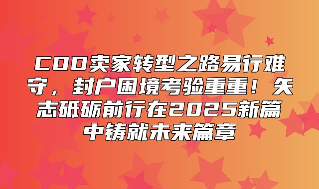 COD卖家转型之路易行难守，封户困境考验重重！矢志砥砺前行在2025新篇中铸就未来篇章