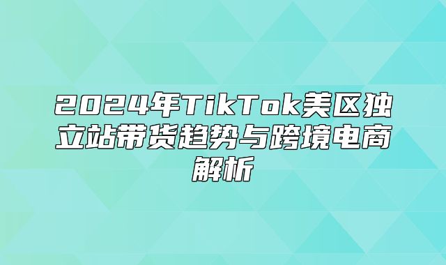 2025年TikTok美区独立站带货趋势与跨境电商解析