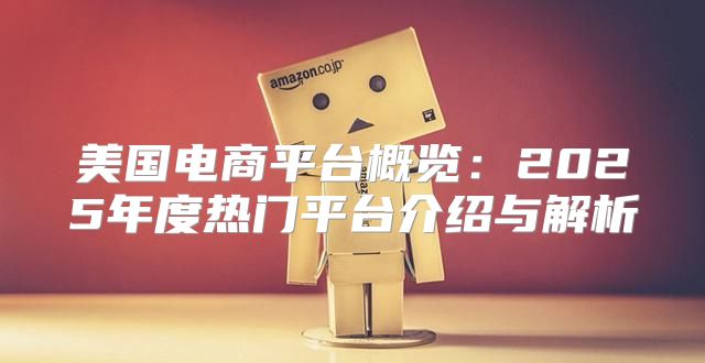 美国电商平台概览：2025年度热门平台介绍与解析