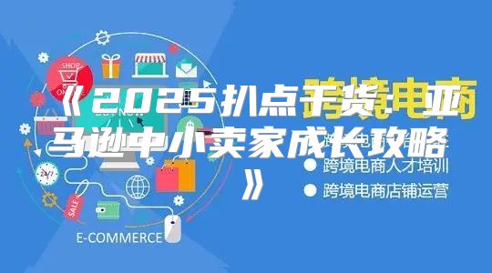 2025扒点干货：亚马逊中小卖家成长攻略