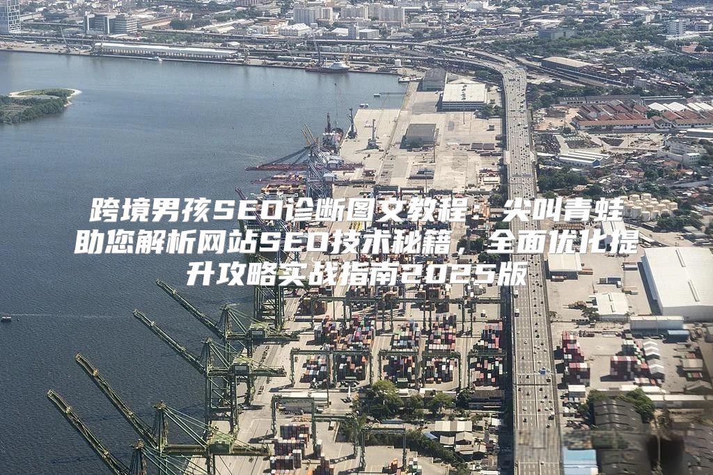 跨境男孩SEO诊断图文教程：尖叫青蛙助您解析网站SEO技术秘籍，全面优化提升攻略实战指南2025版