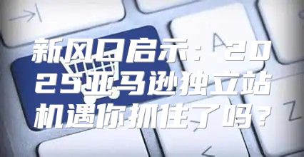 新风口启示：2025亚马逊独立站机遇你抓住了吗？