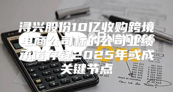 浔兴股份10亿收购跨境电商公司标的公司业绩承诺存疑2025年或成关键节点