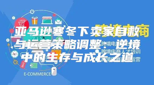 亚马逊寒冬下卖家自救与运营策略调整：逆境中的生存与成长之道