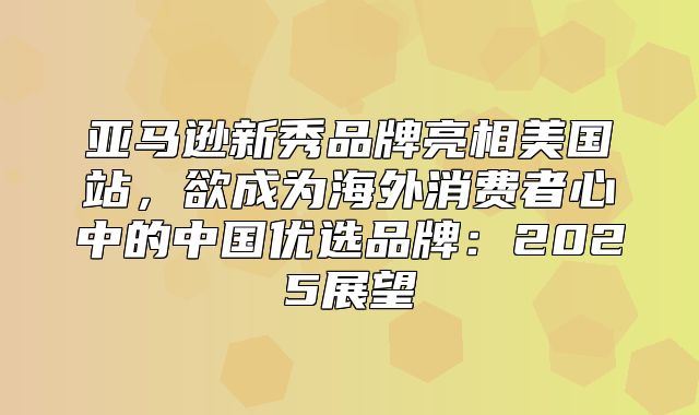 亚马逊新秀品牌亮相美国站，欲成为海外消费者心中的中国优选品牌：2025展望