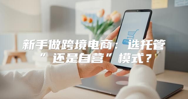 新手做跨境电商：选托管”还是自营”模式？
