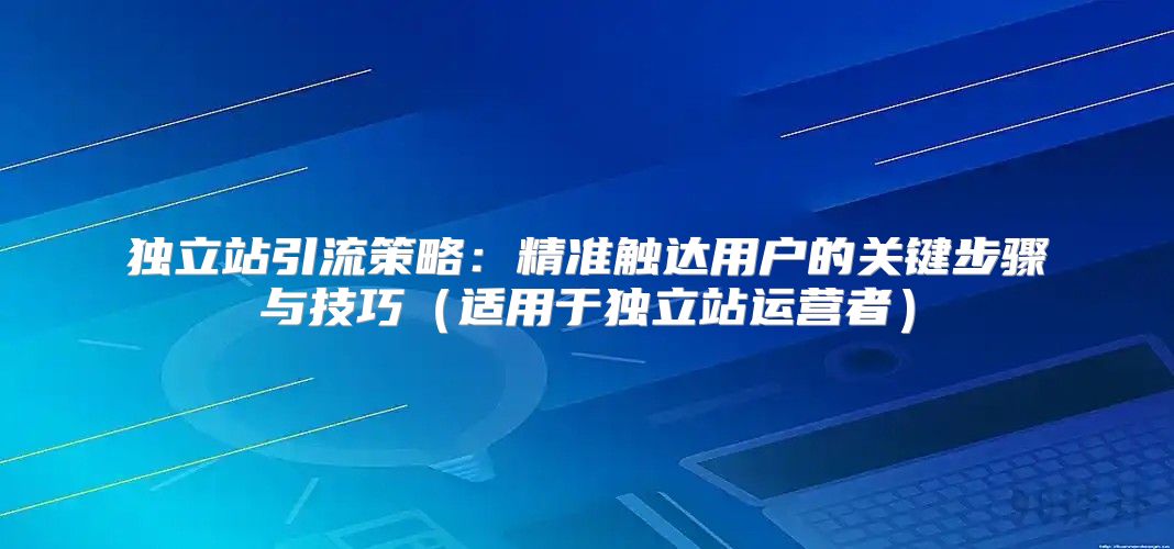 独立站引流策略：精准触达用户的关键步骤与技巧适用于独立站运营者