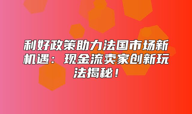 利好政策助力法国市场新机遇：现金流卖家创新玩法揭秘！