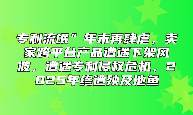 专利流氓”年末再肆虐，卖家跨平台产品遭遇下架风波，遭遇专利侵权危机，2025年终遭殃及池鱼