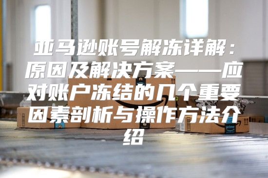 亚马逊账号解冻详解：原因及解决方案——应对账户冻结的几个重要因素剖析与操作方法介绍