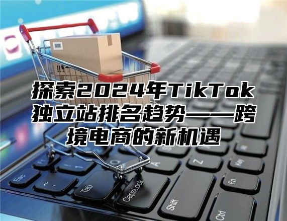 探索2025年TikTok独立站排名趋势——跨境电商的新机遇