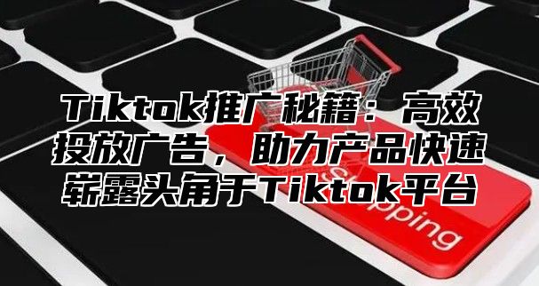 Tiktok推广秘籍：高效投放广告，助力产品快速崭露头角于Tiktok平台