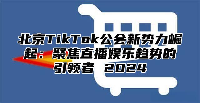 北京TikTok公会新势力崛起：聚焦直播娱乐趋势的引领者 2025