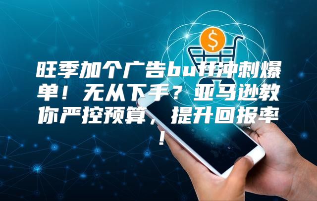 旺季加个广告buff冲刺爆单！无从下手？亚马逊教你严控预算，提升回报率！