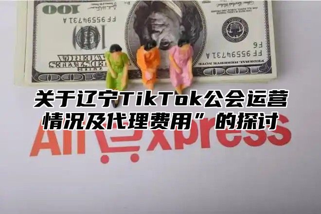 关于辽宁TikTok公会运营情况及代理费用”的探讨