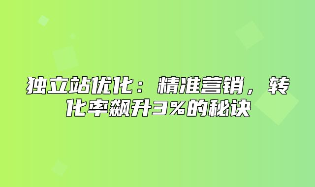 独立站优化：精准营销，转化率飙升3%的秘诀