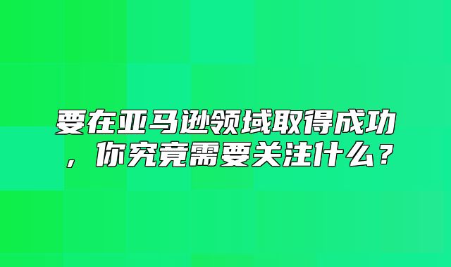要在亚马逊领域取得成功，你究竟需要关注什么？