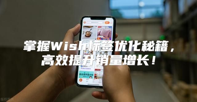 掌握Wish标签优化秘籍，高效提升销量增长！