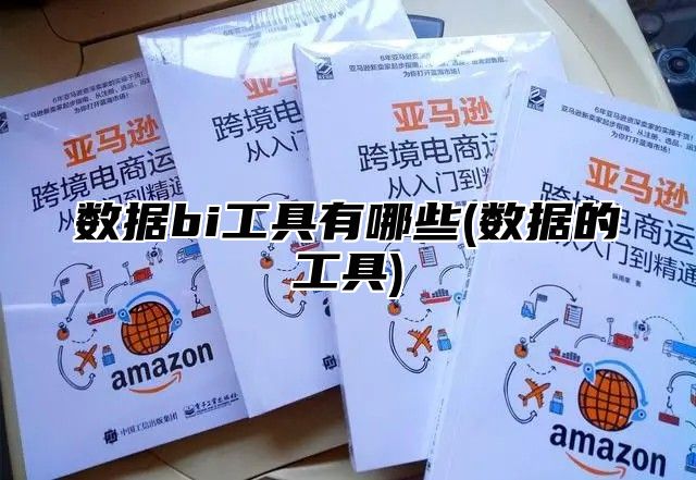 数据bi工具有哪些(数据的工具)