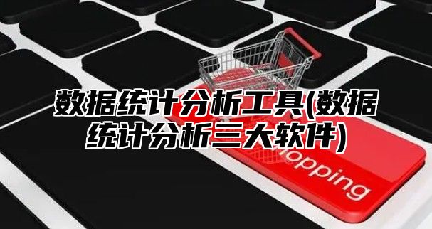 数据统计分析工具(数据统计分析三大软件)