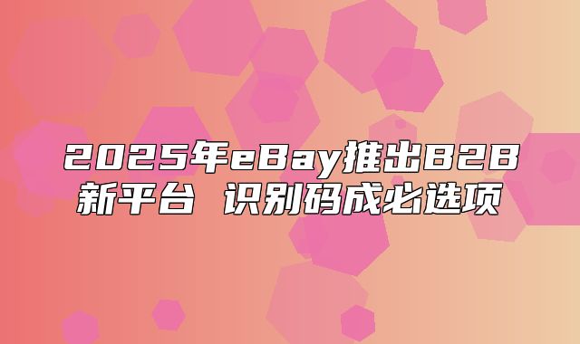 2025年eBay推出B2B新平台 识别码成必选项