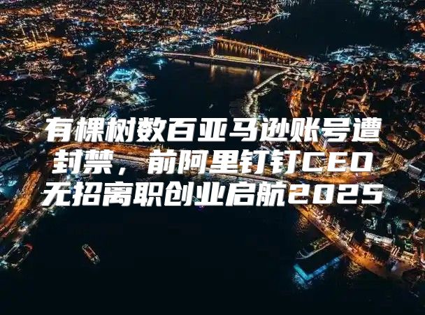 有棵树数百亚马逊账号遭封禁，前阿里钉钉CEO无招离职创业启航2025