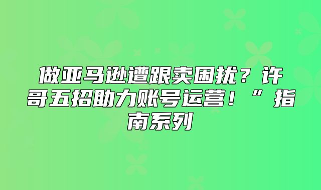 做亚马逊遭跟卖困扰？许哥五招助力账号运营！”指南系列
