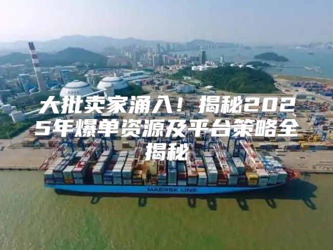 大批卖家涌入！揭秘2025年爆单资源及平台策略全揭秘