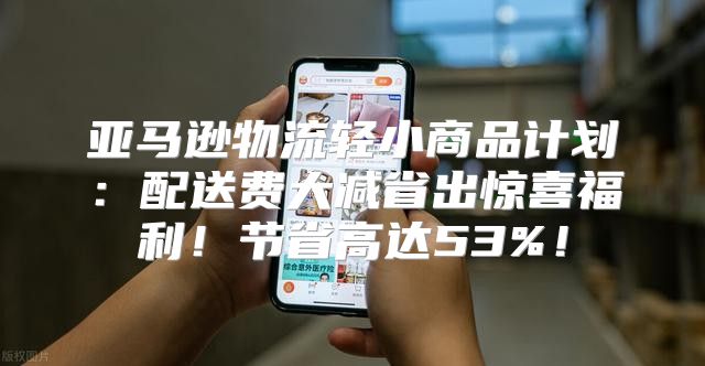 亚马逊物流轻小商品计划：配送费大减省出惊喜福利！节省高达53%！