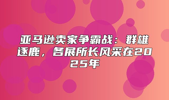 亚马逊卖家争霸战：群雄逐鹿，各展所长风采在2025年