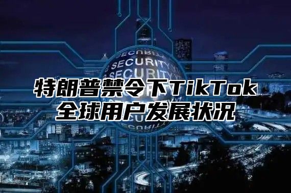 特朗普禁令下TikTok全球用户发展状况