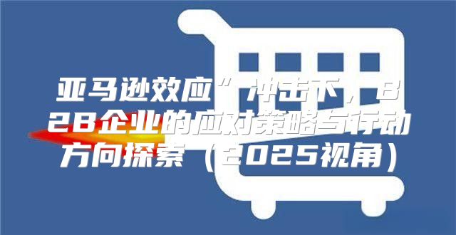 亚马逊效应”冲击下，B2B企业的应对策略与行动方向探索2025视角