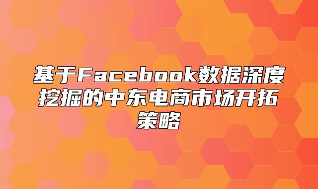基于Facebook数据深度挖掘的中东电商市场开拓策略