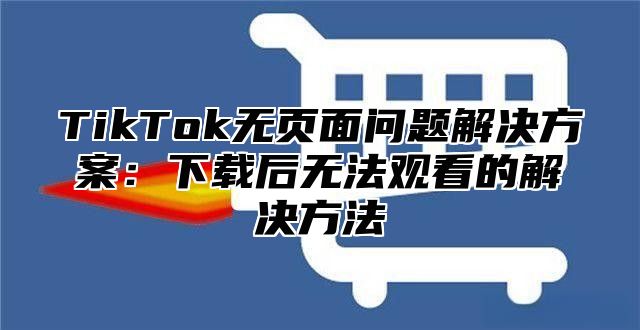 TikTok无页面问题解决方案：下载后无法观看的解决方法